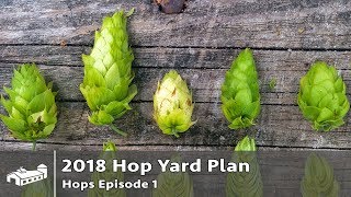 2018 Hop Yard Production For Craft Brewery