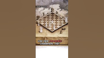 Optical Illusions in Art ✍️