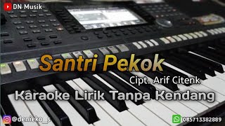 Santri Pekok - Cover Karaoke lirik Tanpa Kendang - Nada Cewek.