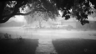 On the evening of tuesday may 31st kingsville texas was hit with a
severe storm that ended up causing lot damage to area. it around
7:30pm ...