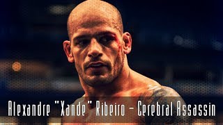 Alexandre "Xande" Ribeiro - Cerebral Assassin