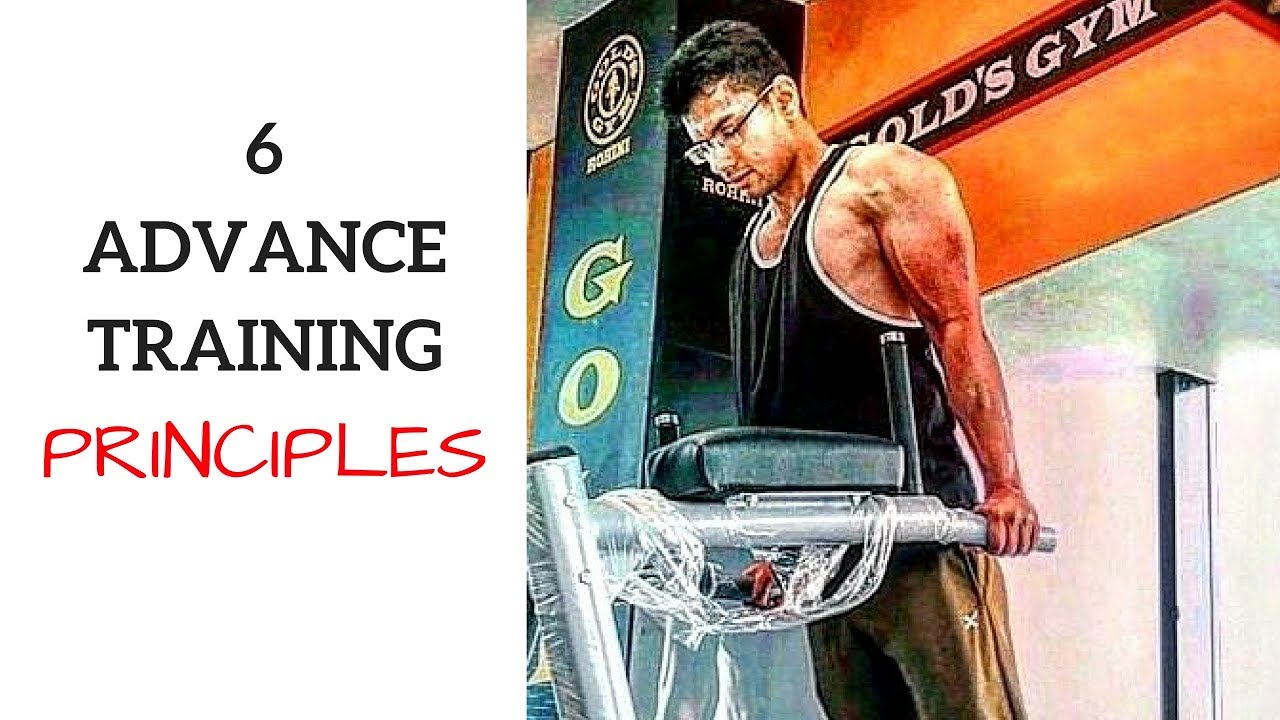 6 Advance Training Principle Which Only Expert Follows Advance Lifter