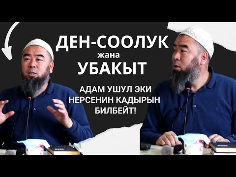 Video: Ден соолуктун кайсы төрт бөлүгү?