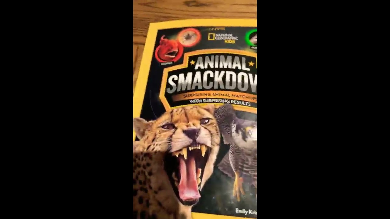 Cheetah VS Peregrine falcon🐆🦅 - YouTube