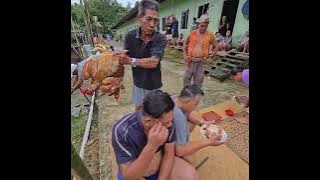 Pengawa trusur ba Tr Narok Sungai Bebangan,Kapit.