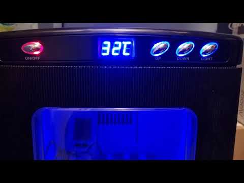 Ackie monitor egg