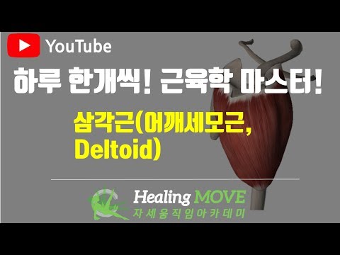 #2-10. 삼각근(어깨세모근, Deltoid)./근육학 마스터/referred pain/MPS/trigger point/힐링무브/healing move/자세움직임