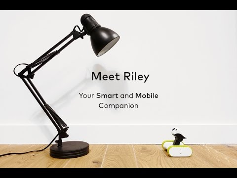 AppBot Riley | iPATROL