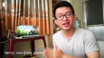 Bộ lọc treo gọn nhẹ cho bể cá thủy sinh | Hanging filter for aquarium | Cách chọn bộ lọc cho hồ cá