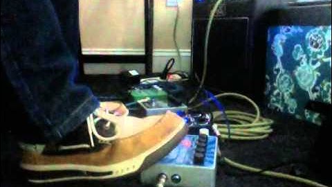 EHX Memory Man with Hazarai (RhaneStorm)