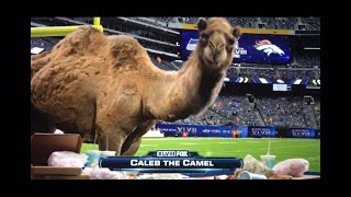 Geico - sideline reporter part 3 (SuperBowl 2014)