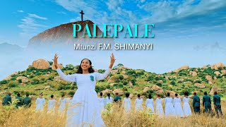 PALEPALE (official video)
