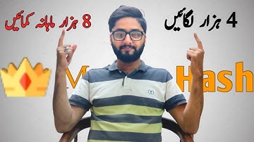 Majestyhash online earning | Best Online Earning Website | Raja Abdullah