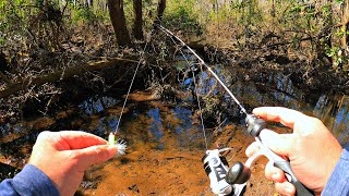 Micro Fishing for a New Pet at My Farm!