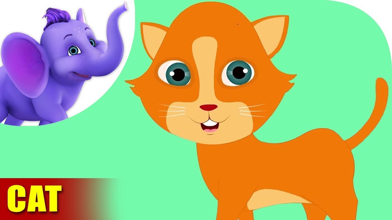 Animal rhymes. Nursery Rhymes Cat. APPUSERIES Squirrel. Nursery Rhymes animal. Хинди кошка.