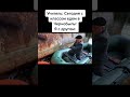 #рек #мемы #юмор #сус #суперсус #камрад #чернобыль #камрадсусурад #креосус