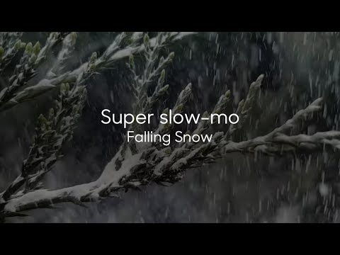 Super slow-mo | Falling Snow