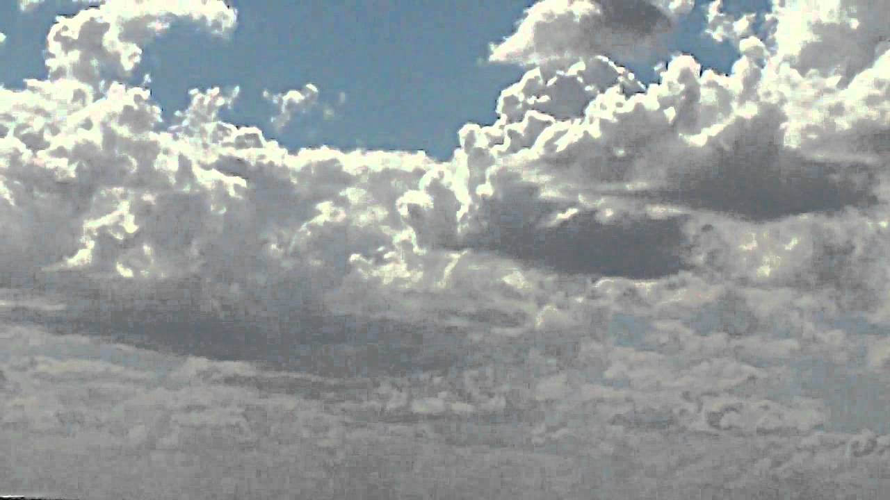 Birds galore on Lake Jesup Black Hammock Oviedo FL YouTube