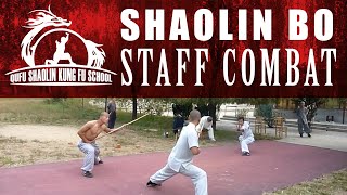 Shaolin Bo Staff Combat | Kung Fu Masters and Kung Fu Students | Martial Arts School
