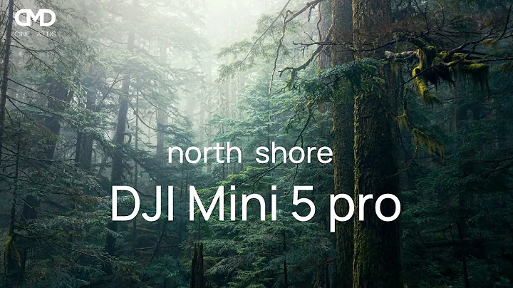 Vancouver's north shore rainforest  |  DJI Mini 5 pro