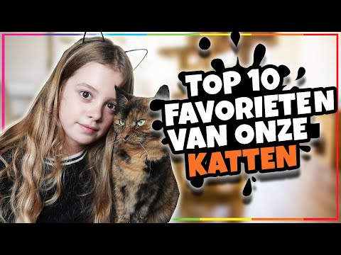 Video: Favoriete Traktaties Voor Katten