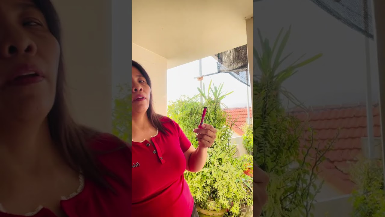 Pen589. Biết ơn- đón nhận- gieo trồng