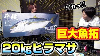 20㎏のヒラマサの魚拓を取ったら予想以上にヤバすぎた・・