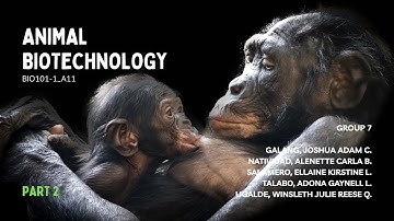 Animal Biotechnology (Part 2: Core Areas of Animal Biotechnology) | BIO101-1 1T2526 A11 Group 7