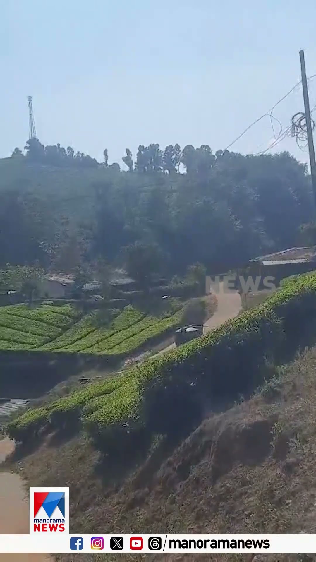 മൂന്നാർ നല്ലതണ്ണിയിലെ ജനവാസ മേഖലയിൽ ഇറങ്ങിയ ഒറ്റക്കൊമ്പൻ | Elephant Road | Munnar