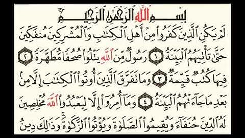 تلاوة الشيخ سلمان العتيبي   (سورة البينة)