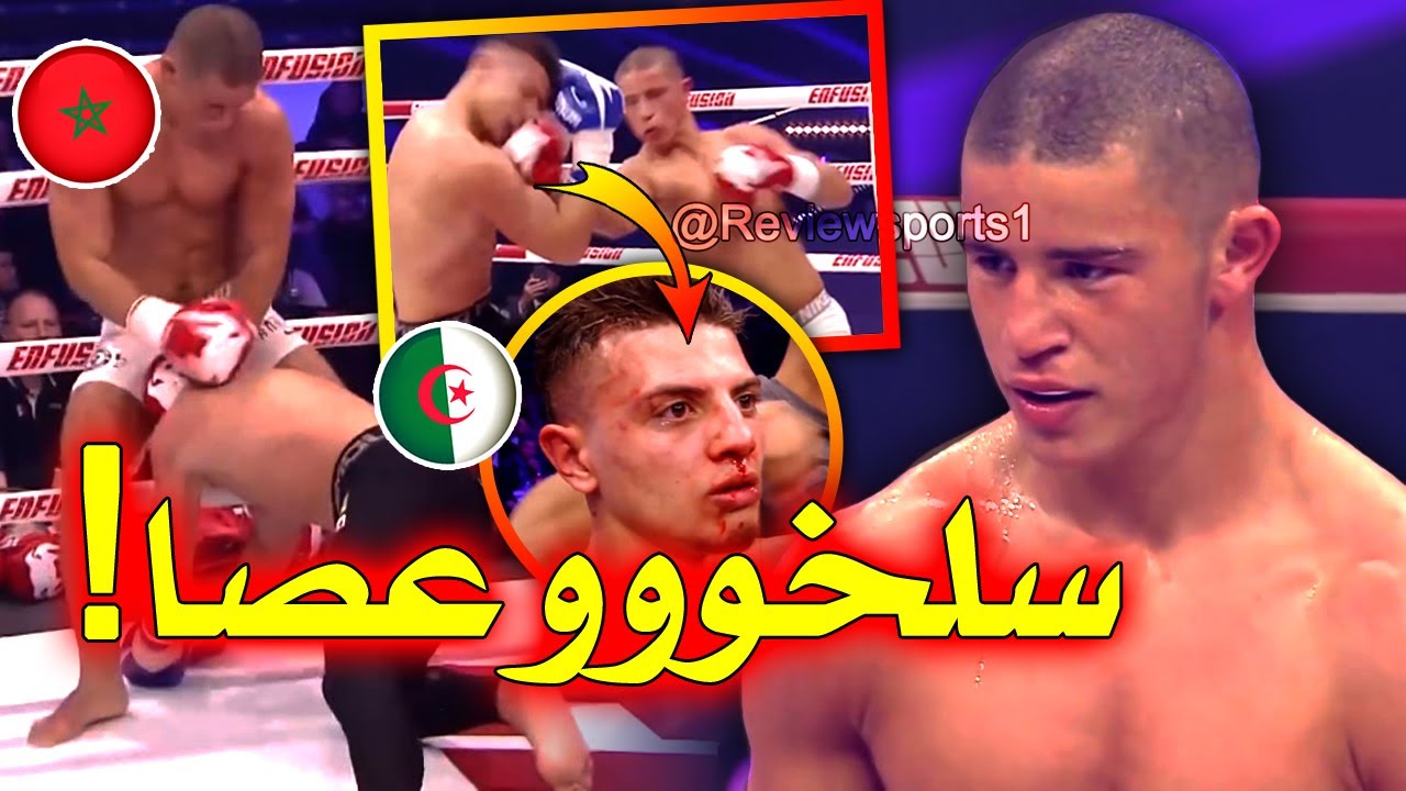 شاهد تايسون المغربي نبيل حريولي عندما حطم وجه خصمه الجزائري يوسف اقدادر وسحق اضلاعه بلا رحمة