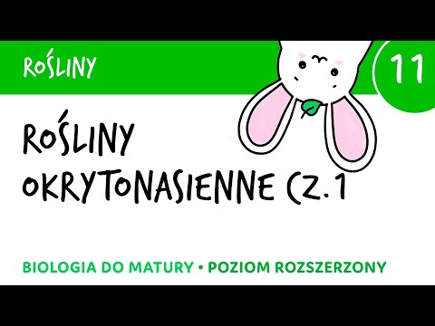 Wideo: Która z poniższych jest najwyższą rośliną okrytozalążkową?