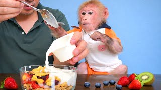 💞 So Sweet! Bibi Cares About Dad’s Sleep and Receives a Well-Deserved Reward 🐵✨