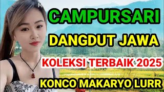 Download Lagu DANGDUT KOPLO TERBARU INTAN MANDASARI YANG LAGI VIRAL TIKTOK MP3