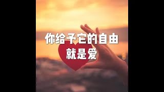 202201 你给予它的自由就是爱51606