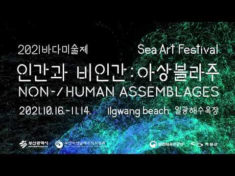 [2021바다미술제 Sea Art Festival 2021] 스팟영상 (1분) Promotion Video (1min)