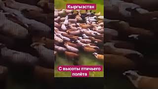 Кыргызстан, горы и ущелья с высоты птичьего полета