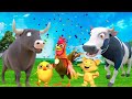 El Pollito y el Tractor de la Granja | Escapando del Toro y del Pollito| La Granja de Zenón La Vaca