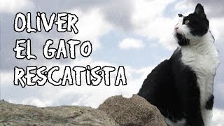 Oliver el gato rescatista de los Alpes Suizos