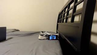 20230424(4003).mp4
