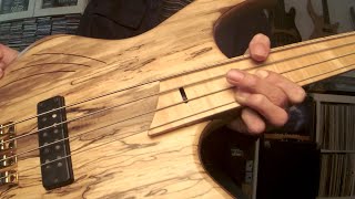 The Freedom of Fretless Bass 2