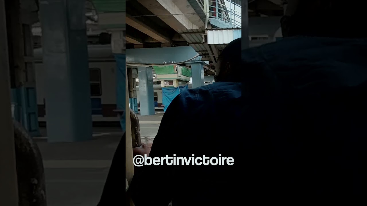 Traveling heals from depression