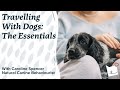 Travelling with Dogs | What You&#39;ll Need