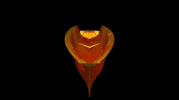 Boat Point Cloud, Cross Section Polylines and 3D Model