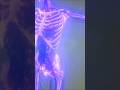 What If Humans Could Regrow Limbs?