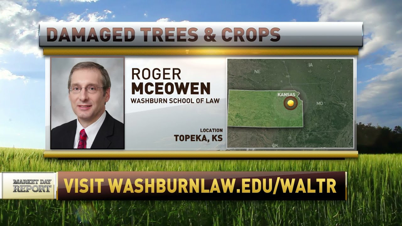 Damaged Trees and Crops