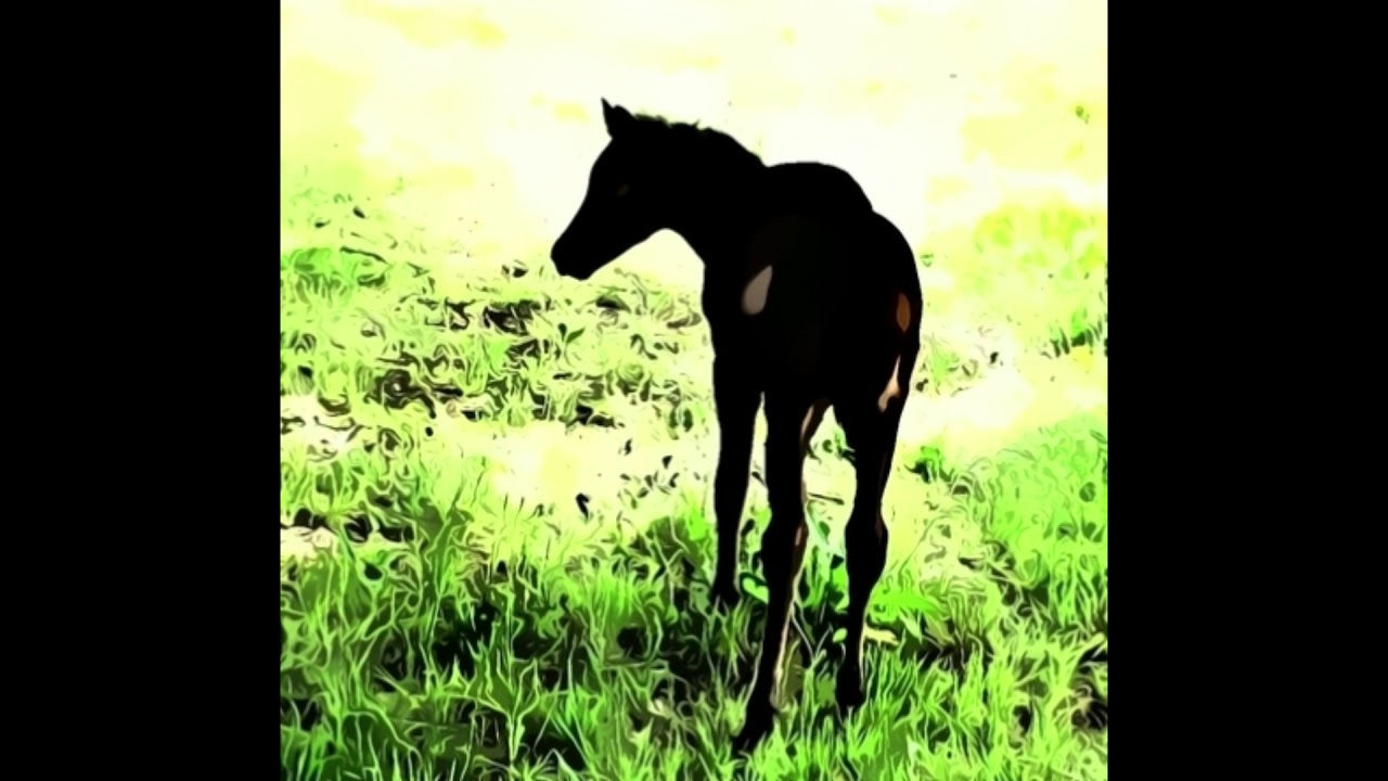 Iwan Zarewitsch und der graue Wolf 2.0 (6/9) von Carola Jürchott 4