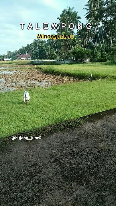 Talempong Minang | Suasana yang cocok dengarnya ‼️ #shorts #music #instrumental #minang