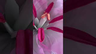 Цветок из ткани "розовый тюльпан"