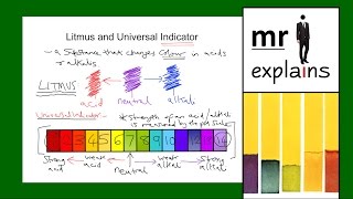 Famous mr i explains: Litmus and Universal Indicator Net Worth